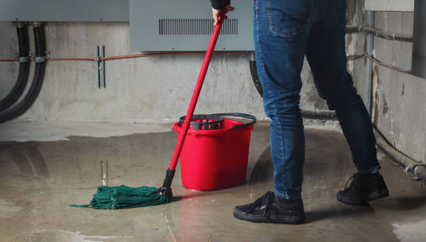 Best Water damage cleanup near me  in Stanfield, OR