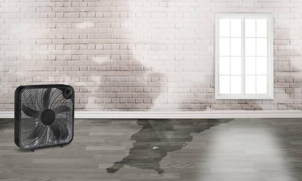 Stanfield, OR Water damage restoration Company