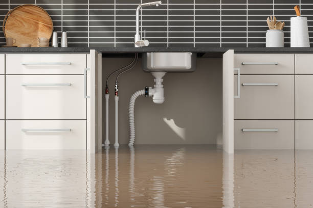 Best Professional water damage repair  in Stanfield, OR