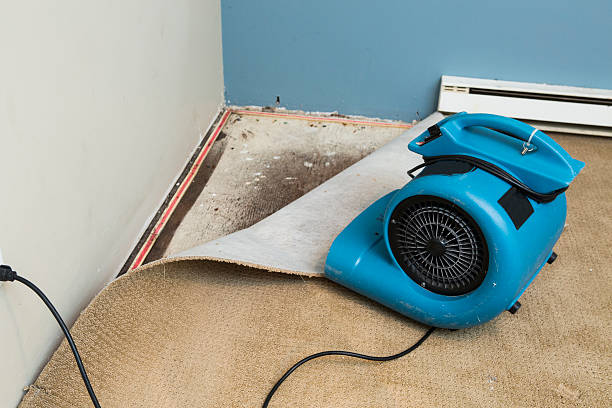 Best Water damage restoration specialists  in Stanfield, OR